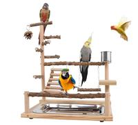 Parakeet Playground - Gym en Bois Jouet pour Oiseaux,Échelle Perroquet avec Une Coupe et Un Plateau en Acier Inoxydable - pour Calopsitte Conure Pinson Entraînement Exercice Escalade