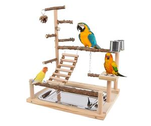 Parakeet Playground | Gym en Bois Jouet pour Oiseaux,Échelle Perroquet avec Une Coupe et Un Plateau en Acier Inoxydable | destiné à Calopsitte Pinson Inséparable Mastication Entraînement