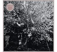 Parallel Universe Blues