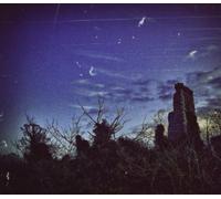 Parallel Worlds - Morphogenic