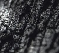 Parallel Worlds - Plector