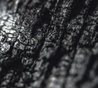 Parallel Worlds - Plector [Compact Discs]
