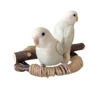 Paramètres de la cage à oiseaux, Paramètres de Parrocchetto | Cockatiel Toys Cockatiel Pespola, Fournitures pour animaux de compagnie, Branches d'escalade dans des oiseaux en cage avec cordon pour