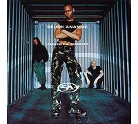 Skunk Anansie – Paranoid & Sunburnt – Vinyle analogique (The Orchard)