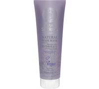 Parapharmacie > Beauté & Soins > Cheveux > Masques et après-shampooings Natura Siberica Masque Capillaire Réparation et Protection pour Cheveux Abîmés 200 ml - Masques et après-shampooings - Pharmacie