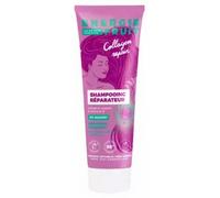 Parapharmacie > Beauté & Soins > Cheveux > Shampooings > Shampooings cheveux secs / abîmés / cassants Energie Fruit Shampoing Réparateur 250 ml
