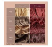 Parapharmacie > Beauté & Soins > Soins Des Cheveux > Produits Coloration Cheveux Patrice Mulato Shampooing Repigmentant50 ml Ombre Acajou