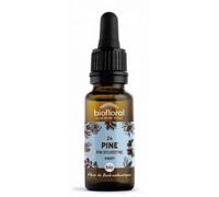BIOFLORAL-Élixir n°24 Biofloral de pin sylvestre en flacon de 20 ml