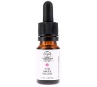 Elxirs & Co - Unitaire Saule - 10ml