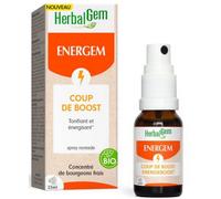 Herbalgem Energem Coup De Boost Spray Bio 15ml