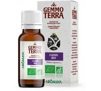 Parapharmacie > Bio & Médecine Naturelle > Produits de Médecines Naturelles > Produits de Phytothérapie Gemmo Terra Macérat de Bourgeons Frais Cassis Bio 30 ml