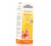 Parapharmacie > Bio & Médecines naturelles > Médecines naturelles > Fleurs de Bach Biofloral Fleurs de Bach Wild Rose N°37 20 ml - Fleurs de Bach - Pharmacie en ligne LaSante.net