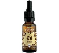 Biofloral Fleur De Bach 37 Wild Rose Eglantier Bio Demeter 20 ml
