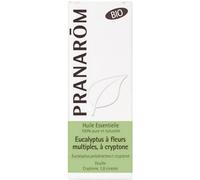 Pranarôm Huile Essentielle Eucalyptus à Cryptone Bio 10ml