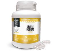 Dayang - Levure de Bière Revivifiable Boîte de 90 gélules