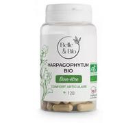 ARTICULATION FLEXIBLE & MOBILITÉ - Harpagophytum Bio Gélules certifié Ecocert - Soulage les articulations - 120 gélules - Cure 2 mois