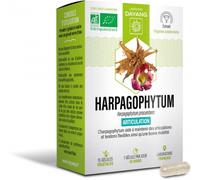 Parapharmacie > Compléments alimentaires > Compléments Alimentaires Articulations et muscles Dayang Harpagophytum Bio Gélules x 15 - Articulations et muscles - Pharmacie en ligne LaSante.net