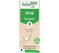 Parapharmacie > Compléments alimentaires > Compléments Alimentaires Articulations et muscles HerbalGem Vigne Bio 30 ml - Articulations et muscles - Pharmacie en ligne LaSante.net
