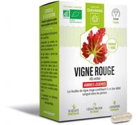 Parapharmacie > Compléments alimentaires > Compléments Alimentaires Circulation veineuse Dayang Jambes Légères Vigne Rouge Bio Gélules x 30 - Circulation veineuse - Pharmacie en ligne LaSante.net