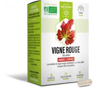 Dayang Vigne Rouge Bio Jambes Légères 15 gélules