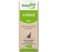 Parapharmacie > Compléments alimentaires > Compléments Alimentaires Circulation veineuse HerbalGem Sorbier Bio 30 ml - Circulation veineuse - Pharmacie en ligne LaSante.net