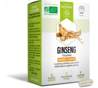 Parapharmacie > Compléments alimentaires > Compléments Alimentaires Concentration et Mémoire Dayang Ginseng Bio Gélules x 15 - Concentration - Mémoire - Pharmacie en ligne LaSante.net