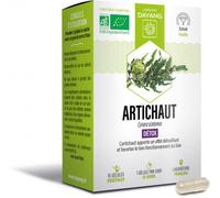 Parapharmacie > Compléments alimentaires > Compléments Alimentaires Digestion et Transit Dayang Artichaut Bio Gélules x 15 - Digestion - Transit - Pharmacie en ligne LaSante.net