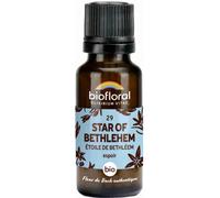 Parapharmacie > Compléments alimentaires > Compléments Alimentaires Sommeil et Stress Biofloral Granules 29 Star of Bethlehem - Étoile de Bethléem Bio 19,5 g - Sommeil - Stress - Pharmacie en ligne La