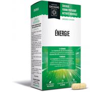 Parapharmacie > Compléments alimentaires > Compléments Alimentaires Vitalité et Défenses immunitaires > Multivitamines Dayang Énergie Comprimés x 30 - Multivitamines - Pharmacie en ligne LaSante.net