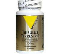 Parapharmacie > Compléments alimentaires VIT'ALL+ Tribulus Terrestris 300mg x 60 - Compléments alimentaires - Pharmacie en ligne LaSante.net