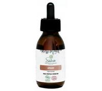 Parapharmacie en ligne > Beauté & Soins > Produits de Soins du Visage > Soins Hydratants Et Nourrissants Pour le Visage Salvia Nutrition Huile Végétale Vierge Argan Bio 100 ml