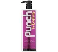 Parapharmacie en ligne > Beauté & Soins > Soins des cheveux > Masques et après-shampooings Ducastel Pro Masque Punch Ta Couleur 500 ml