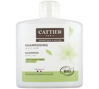 Cattier shampoing argile verte bio cuir chevelu gras Shampooing 250 ml