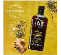 American Crew 3 in 1 Ginger + Tea 3 en 1 : shampoing, après-shampoing et gel douche pour homme 250 ml