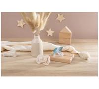 Parapharmacie en ligne > Bébé & Maman > Accessoires bébé > Sucettes et attache-sucettes Luc et Léa Nature 2 Sucettes Anatomiques Téterelle Extra-Fine 0-6 Mois