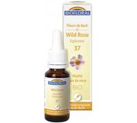 Parapharmacie en ligne > Bio & Médecine Naturelle > Produits de Médecines Naturelles > Fleurs de Bach Biofloral Fleurs de Bach Wild Rose N°37 20 ml - Fleurs de Bach - Pharmacie en ligne LaSante.net