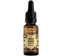 Parapharmacie en ligne > Bio & médecine naturelle > Produits de médecines naturelles > Fleurs de Bach Biofloral Fleurs de Bach 37 Wild Rose Bio 20 ml
