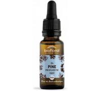 Parapharmacie en ligne > Bio & médecine naturelle > Produits de médecines naturelles > Fleurs de Bach Biofloral Fleurs de Bach 24 Pin Sylvestre 20 ml