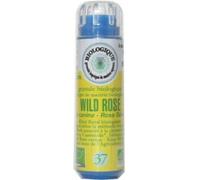 Parapharmacie en ligne > Bio & Médecine Naturelle > Produits de Médecines Naturelles > Fleurs de Bach Fleurs de Bach n°37 Wild Rose Bio Granules x 120 - Fleurs de Bach - Pharmacie en ligne LaSante.net