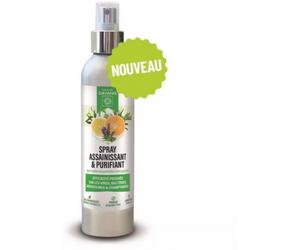 Parapharmacie en ligne > Bio & médecine naturelle > Produits de médecines naturelles > Huiles essentielles Dayang Spray Assainissant et Purifiant 200 ml - Huiles essentielles - Pharmacie en ligne LaSa