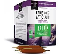 Parapharmacie en ligne > Bio & médecine naturelle > Produits de médecines naturelles > Produits de phytothérapie Dayang Radis Noir Artichaut Bio Ampoules x 20