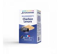 JUVAMINE - Digestion - Charbon Levure - Gaz Intestinaux - Contribue à Réduire l'excès de Flatulences - 44 Gélules - Programme de 22 Jours - Fabriqué en France