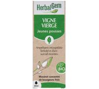 HerbalGem Macérât-mère concentré Vigne Vierge Bio 30 ml