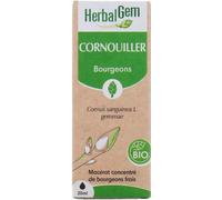 HerbalGem Macérat concentré Cornouiller Bio 30 ml