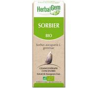 Parapharmacie en ligne > Compléments alimentaires > Compléments alimentaires pour la circulation veineuse HerbalGem Sorbier Bio 30 ml