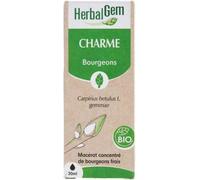 Parapharmacie en ligne > Compléments alimentaires > Compléments alimentaires pour la circulation veineuse HerbalGem Charme Bio 30 ml