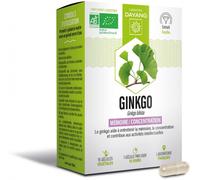 Parapharmacie en ligne > Compléments alimentaires > Compléments alimentaires pour la concentration et la mémoire Dayang Ginkgo Biloba Bio Gélules x 15 - Concentration - Mémoire - Pharmacie en ligne La