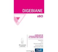 Parapharmacie en ligne > Compléments alimentaires > Compléments alimentaires pour la digestion et au transit PiLeJe Digebiane sBO Comprimés x 20