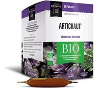 Dayang Artichaut Bio 20 ampoules
