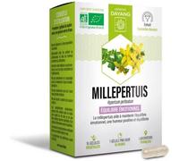 Parapharmacie en ligne > Compléments alimentaires > Compléments alimentaires pour le sommeil et le stress Dayang Millepertuis Bio Gélules x 15